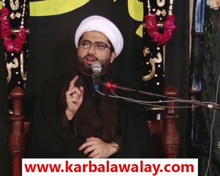 Maulana Kumail Mehdvi 2017